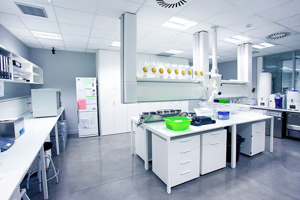 P2實驗室設(shè)計